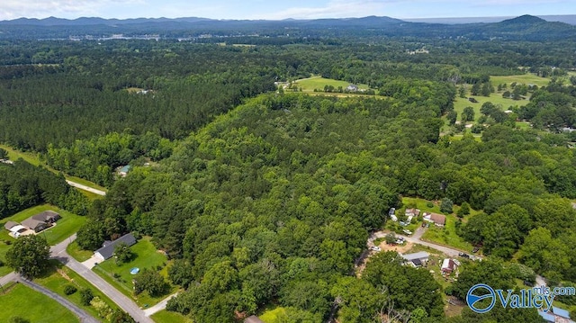 12.2 Riddles Bend Rd, Rainbow City, AL 35906