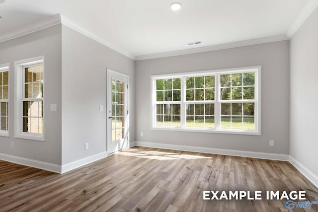 empty room featuring wood-type flooring, plenty of natural light, and ornamental molding