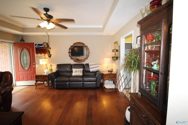 207 Brook Wind Dr, Hazel Green, AL 35750 - living area with dark wood-style floors, ceiling fan, and a tray ceiling