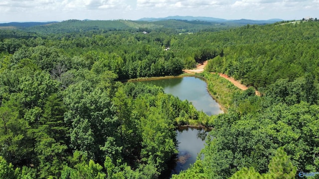 11.54ACRES Tuckaway Ln, Piedmont AL, 36272 land for sale