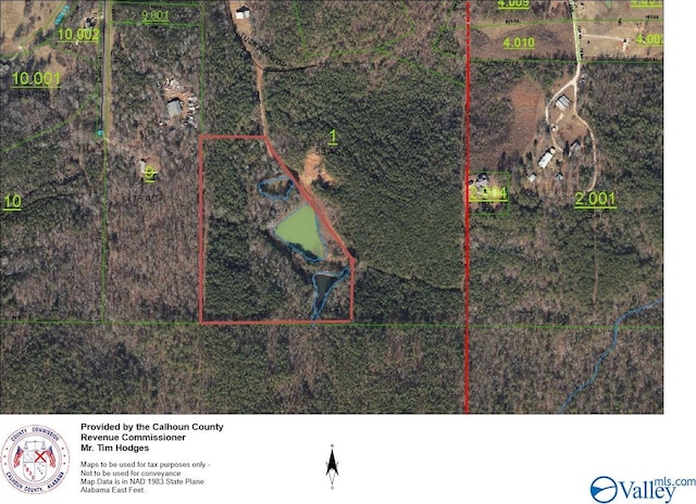 Listing photo 2 for 11.54ACRES Tuckaway Ln, Piedmont AL 36272