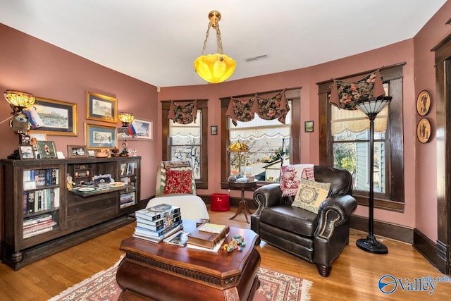 living room featuring wood-type flooring