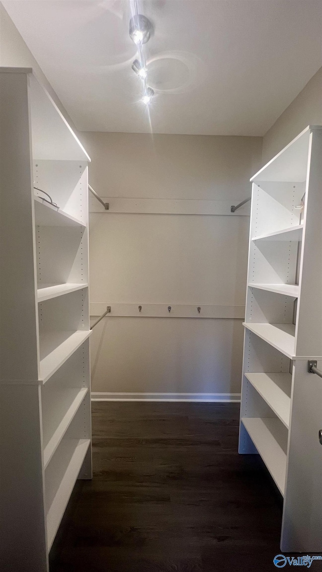 walk in closet with dark wood-style flooring