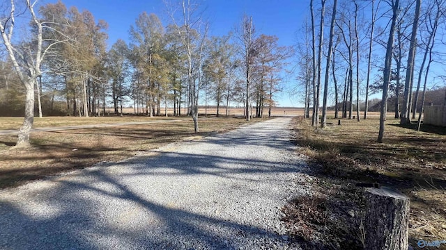 view of road