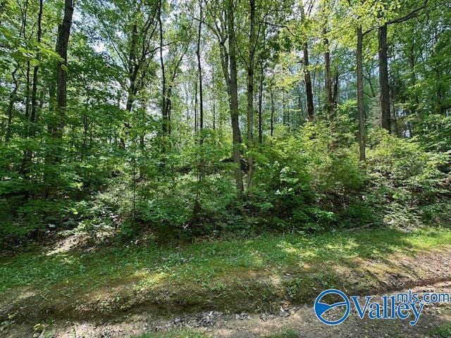 LOT160 Ridgewood Cir, Cherokee Ridge AL, 35175 land for sale