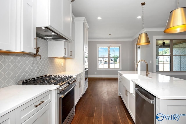22938 Gunner Cir, Athens, AL 35613 - kitchen with appliances with stainless steel finishes, range hood, a sink, ornamental molding, and baseboards