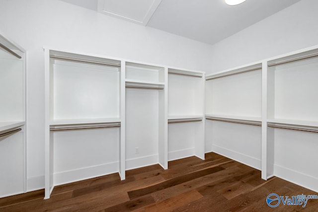 22938 Gunner Cir, Athens, AL 35613 - walk in closet with dark wood finished floors