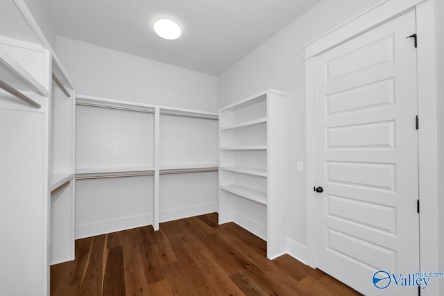 22938 Gunner Cir, Athens, AL 35613 - spacious closet with dark wood-style floors