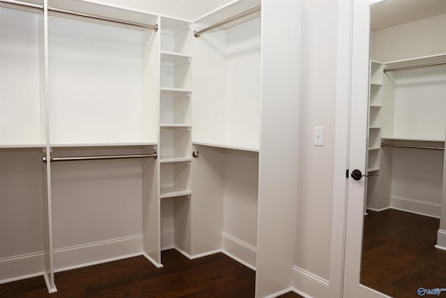 walk in closet with dark wood-type flooring