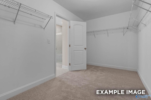 spacious closet featuring light carpet