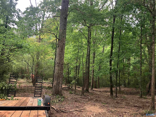 LOT18 Meadow Wood Cir, Arab AL, 35016 land for sale