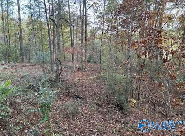 Listing photo 2 for LOT18 Meadow Wood Cir, Arab AL 35016