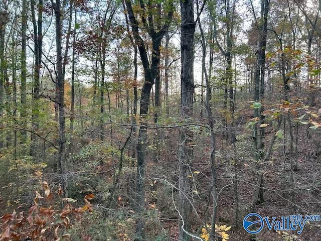 Listing photo 3 for LOT18 Meadow Wood Cir, Arab AL 35016