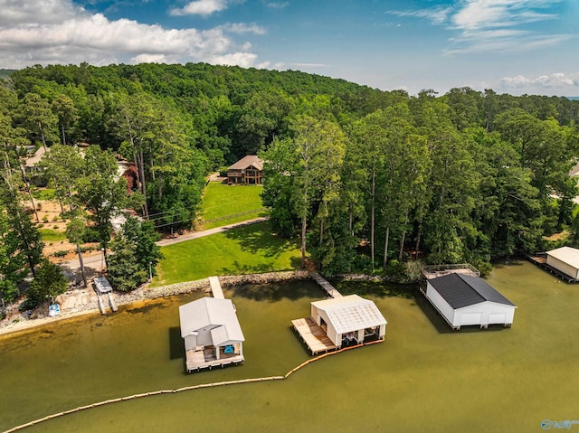 511 Pine Island Cir, Scottsboro, AL 35769 - drone / aerial view of a forest