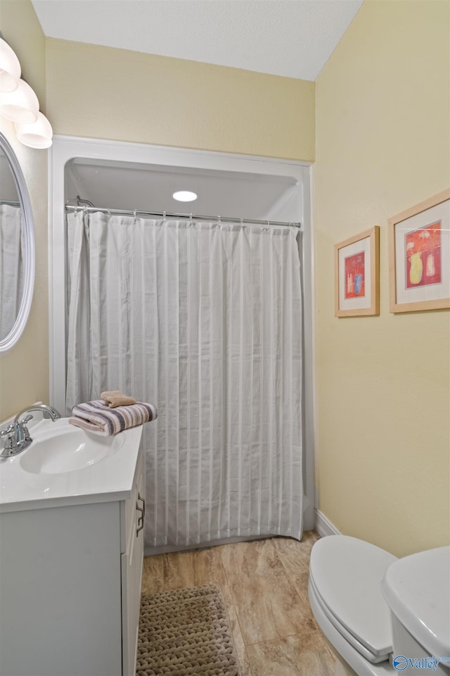 511 Pine Island Cir, Scottsboro, AL 35769 - bathroom with toilet, vanity, and a shower with shower curtain