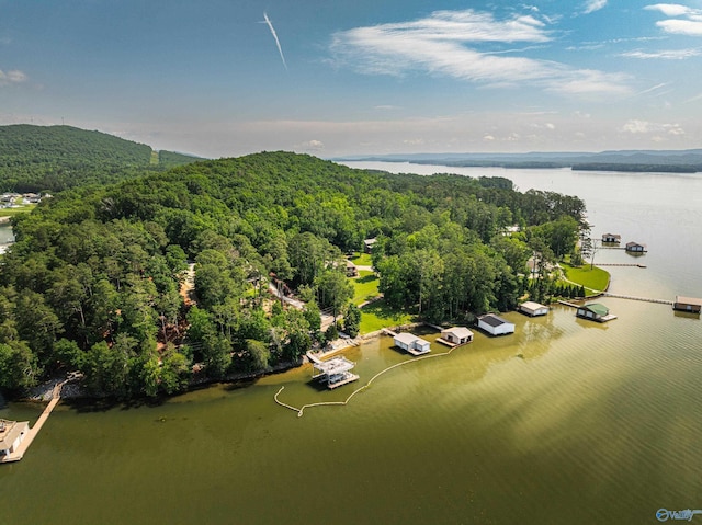 511 Pine Island Cir, Scottsboro, AL 35769 - bird's eye view of a forest and a nearby body of water