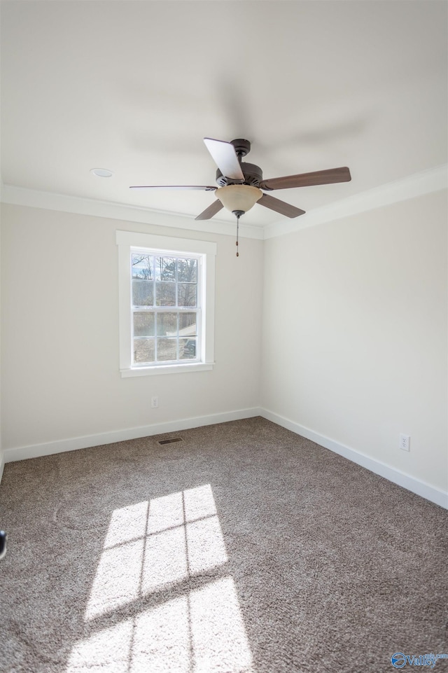 spare room with crown molding, carpet floors, and ceiling fan