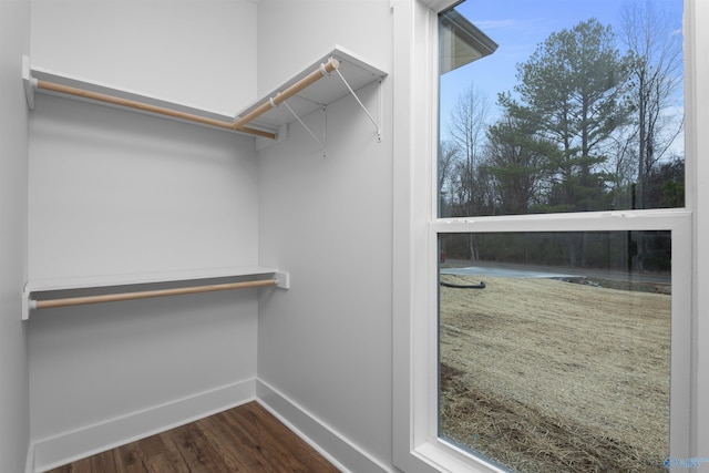 spacious closet with hardwood / wood-style floors