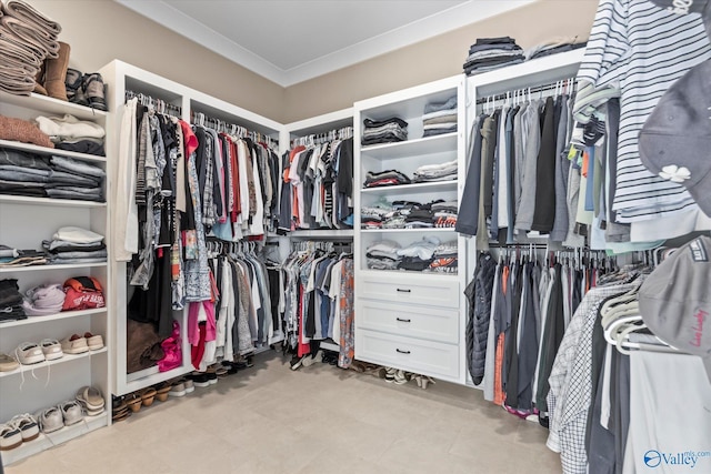 23784 Old Homeplace Way, Athens, AL 35613 - view of spacious closet