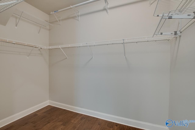 walk in closet featuring hardwood / wood-style flooring