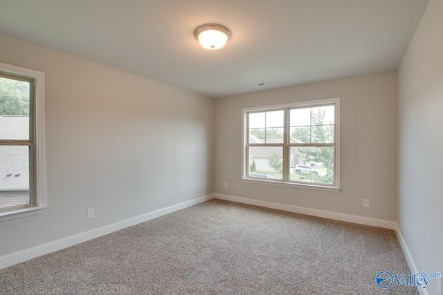 spare room featuring carpet and plenty of natural light