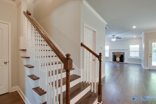 stairs with wood-type flooring, ceiling fan, and crown molding