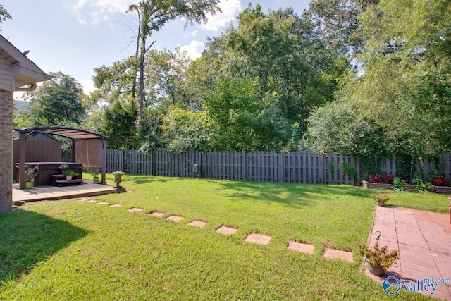 view of yard featuring a patio area