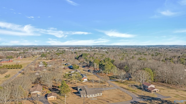 bird's eye view with a view of trees