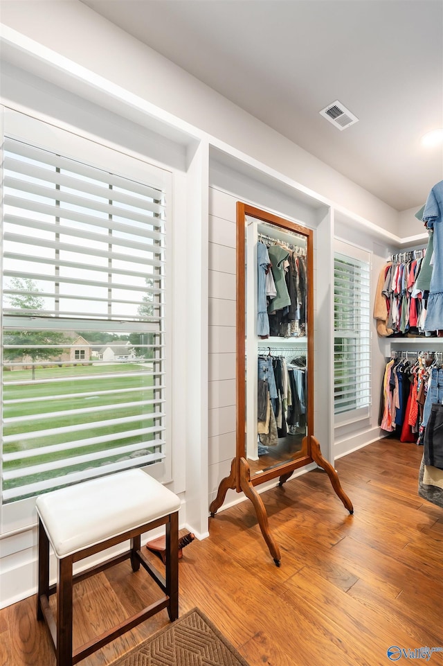 20009 Capitol Hill Dr, Tanner, AL 35671 - walk in closet featuring wood finished floors