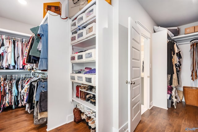 20009 Capitol Hill Dr, Tanner, AL 35671 - spacious closet with wood finished floors