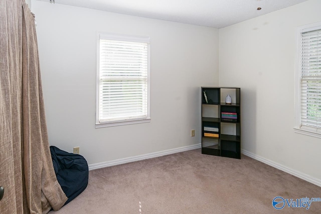 miscellaneous room featuring light colored carpet