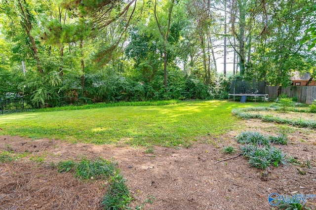 view of yard with a trampoline