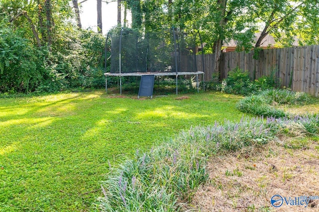 view of yard with a trampoline