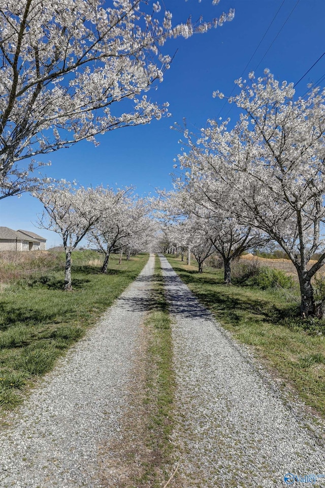 view of road