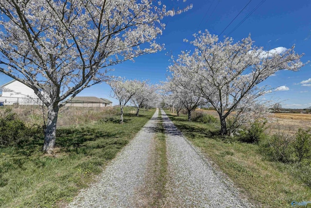 view of street