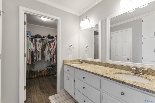 bathroom featuring double vanity, crown molding, wood finished floors, and a sink