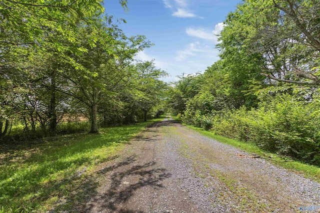 view of road