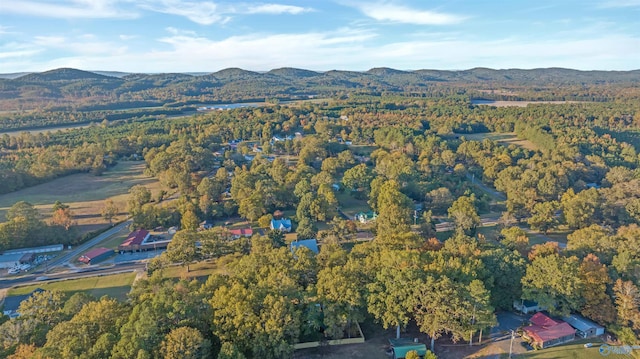 drone / aerial view featuring a mountain view