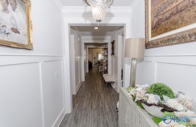 hallway featuring crown molding and dark wood-type flooring