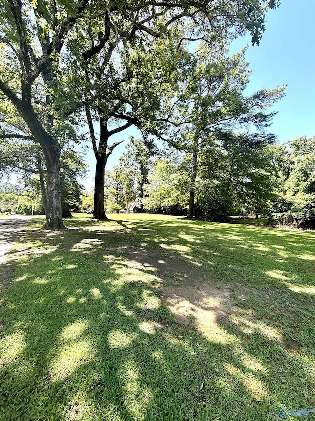 312 8th Ave SW, Attalla, AL 35954 - view of green lawn