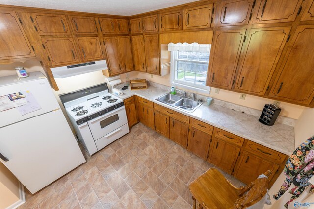 kitchen featuring exhaust hood, brown cabinetry, a sink, light countertops, and white appliances