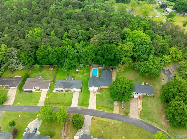 bird's eye view