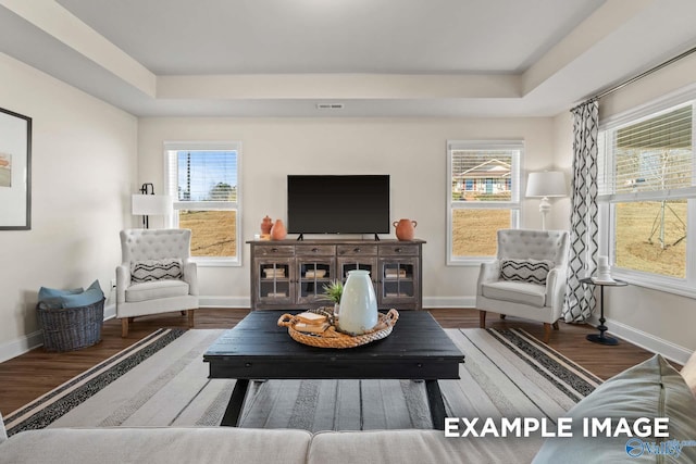 152 Rose Valley Dr, New Market, AL 35761 - living room with a wealth of natural light, a raised ceiling, and wood finished floors