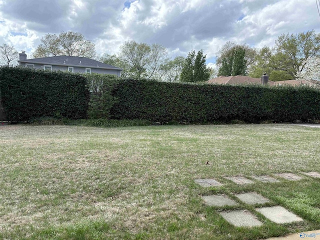 view of yard