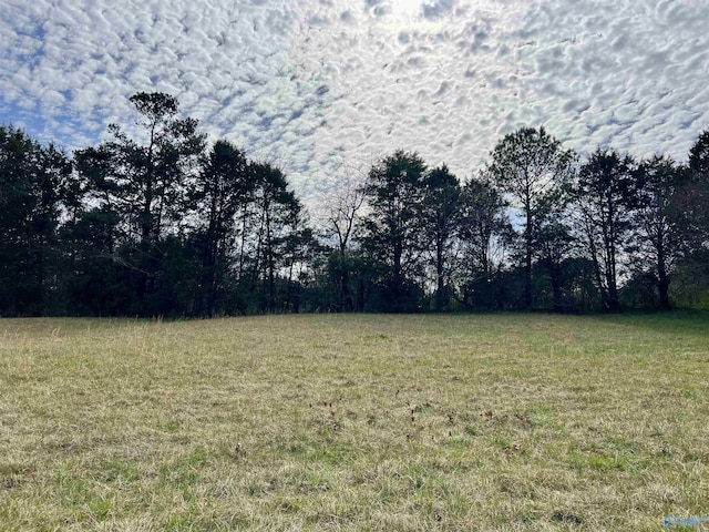 LOT3 County Road 726, Gaylesville AL, 35973 land for sale