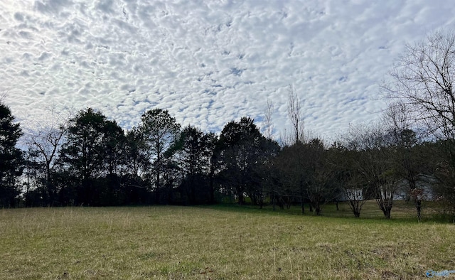 Listing photo 3 for LOT3 County Road 726, Gaylesville AL 35973