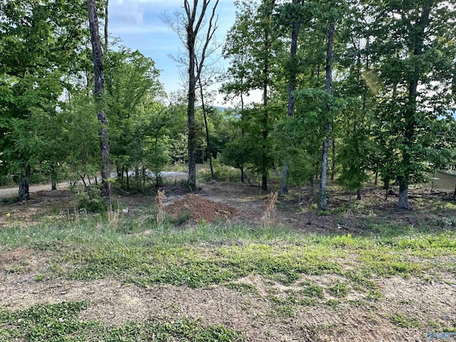 Listing photo 2 for LOT21 Watson Grande Way, Owens Cross Roads AL 35763