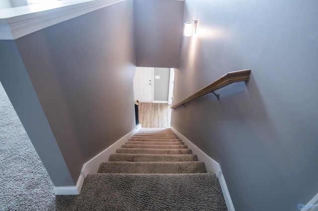 stairway featuring carpet flooring