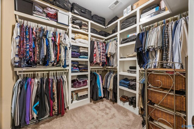 39 Verdant Cir, Huntsville, AL 35803 - walk in closet featuring carpet floors