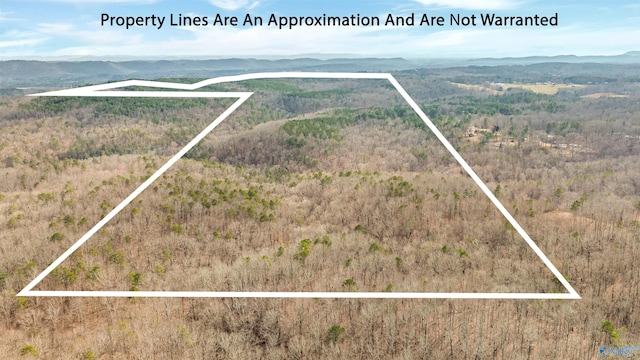 254ACRES Sand Valley Rd, Attalla AL, 35954 land for sale